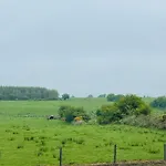 Lisalway Country 5* Castlerea