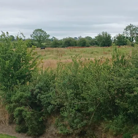 Lisalway Country Oda ve Kahvaltı Castlerea