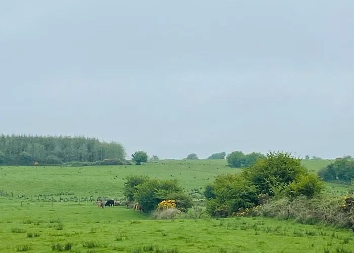 Lisalway Country 5* Castlerea